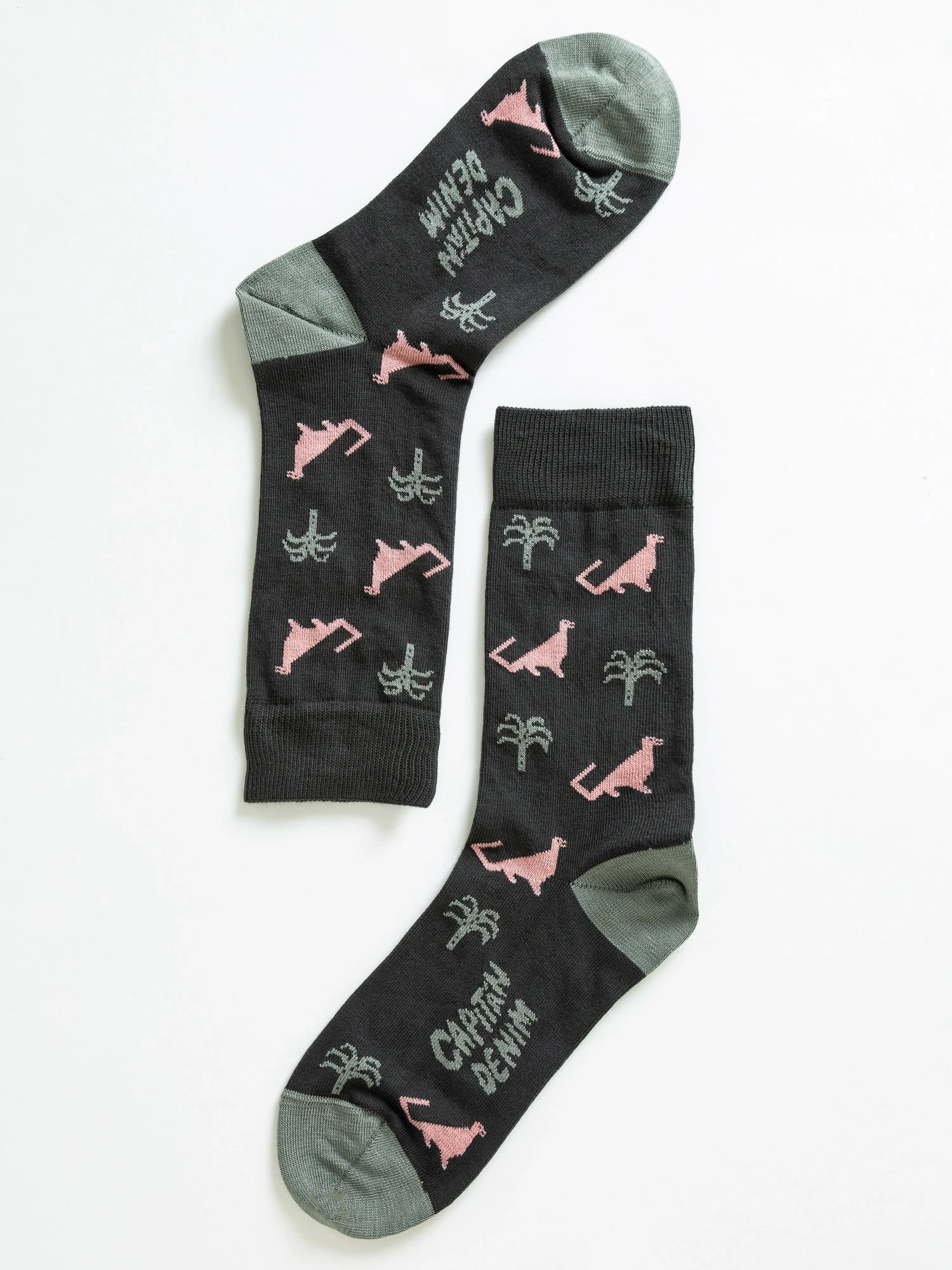 Calcetines Unisex Dinos 4 Calcetines Unisex Dinos - Imagen 2