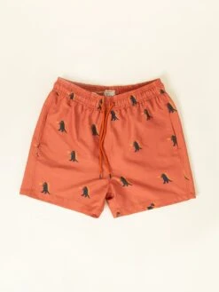 BAÑADOR DE HOMBRE NOKIE GODZILLA RED