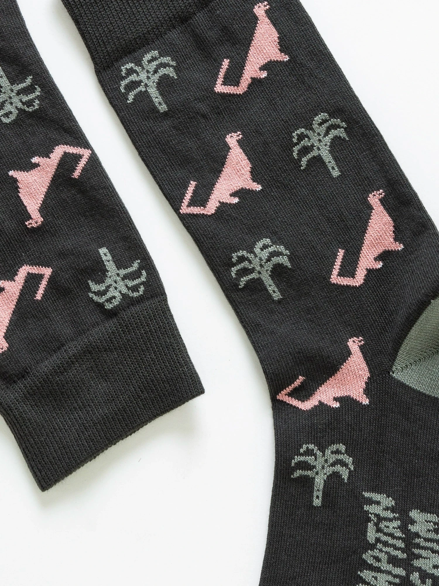 Calcetines Unisex Dinos 5 Calcetines Unisex Dinos - Imagen 3