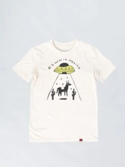 CAMISETA BIG DOWN IN MEXICO UNISEX