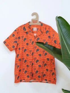 CAMISA CALYPSO CALIFORNIA 12 CAMISA CALYPSO CALIFORNIA -Capitan Denim californiacopia1