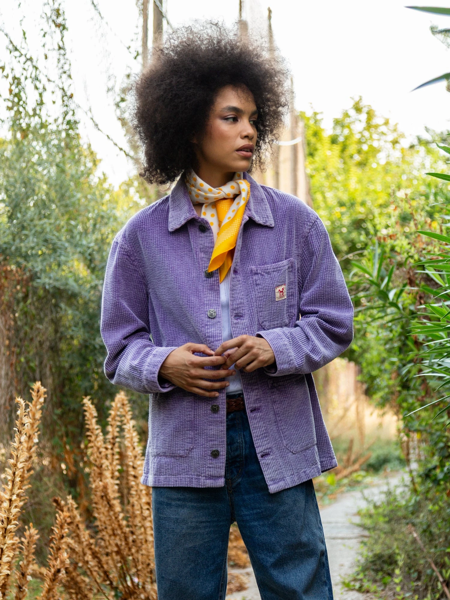 SHUTTER PANA PURPLE 3 SHUTTER PANA PURPLE